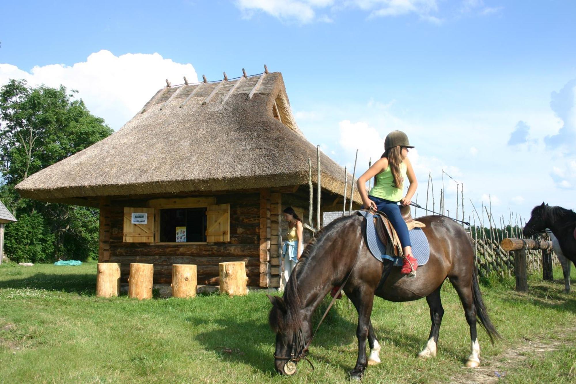 Anni Tourism Farm Villa Tammese Екстериор снимка