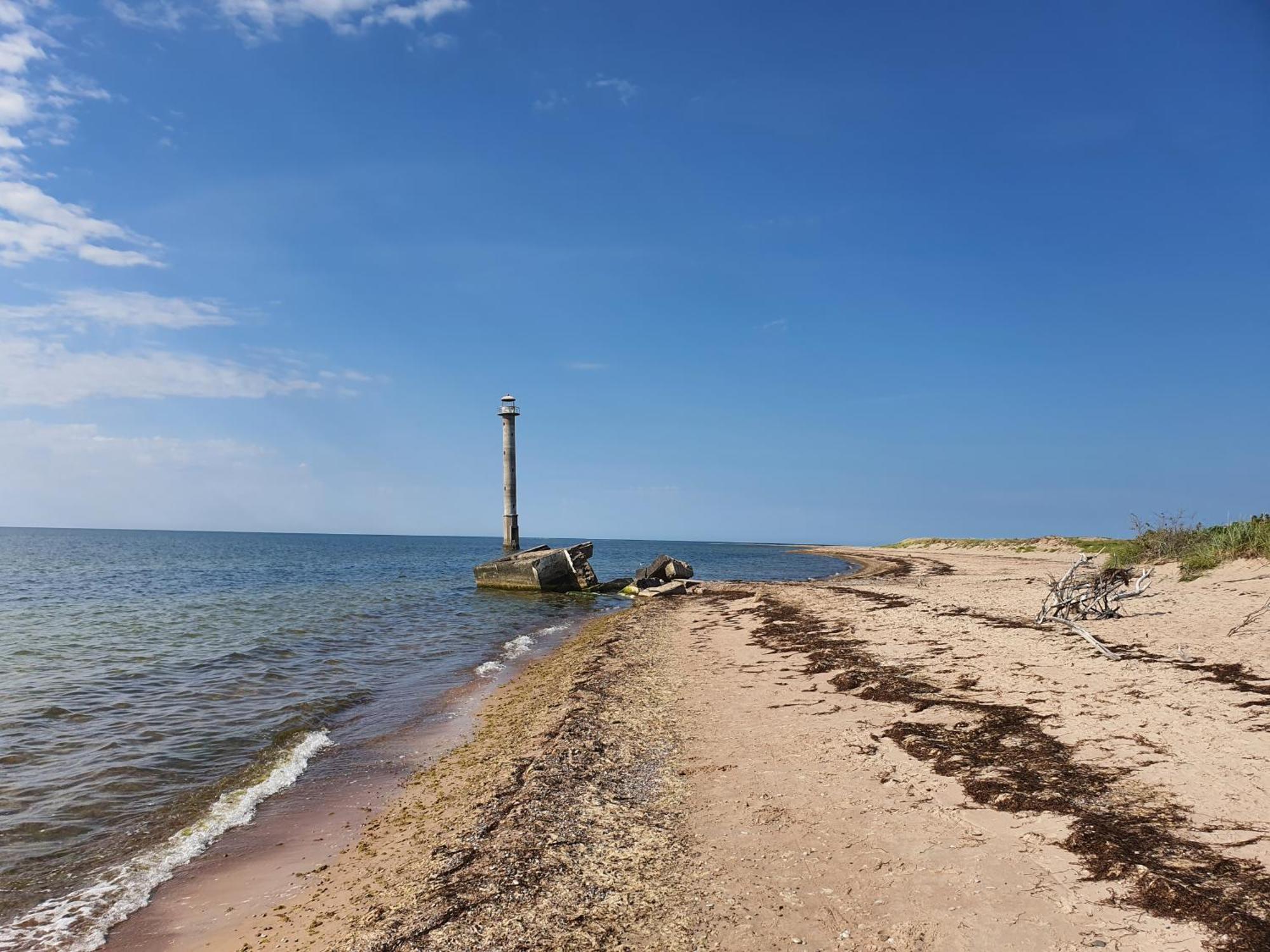 Anni Tourism Farm Villa Tammese Екстериор снимка